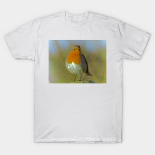 ROBIN REDBREAST T-Shirt